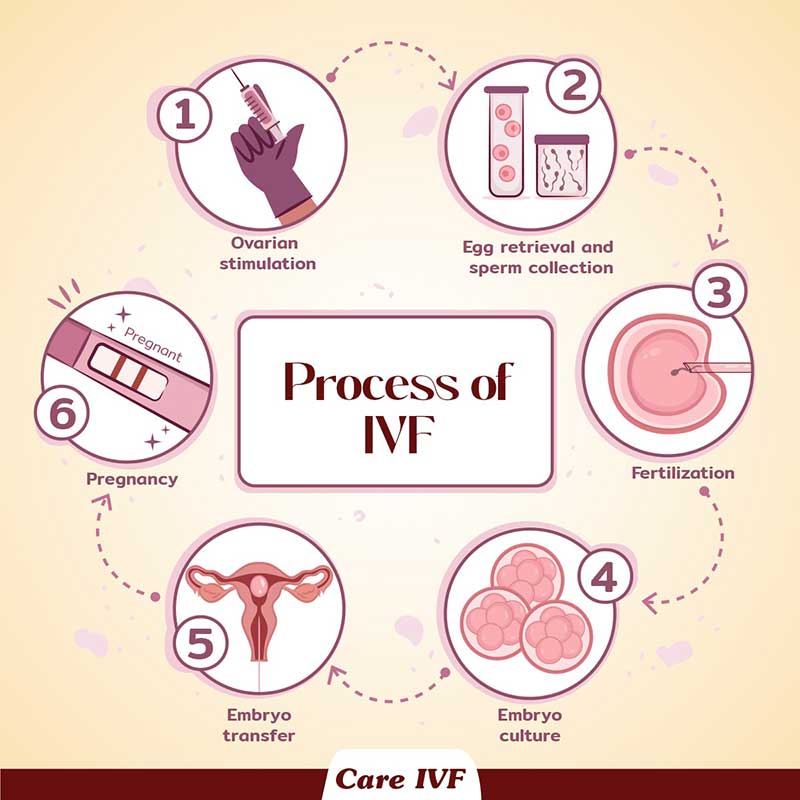 Frequent Urination, A Sign That The Embryo Has Successfully